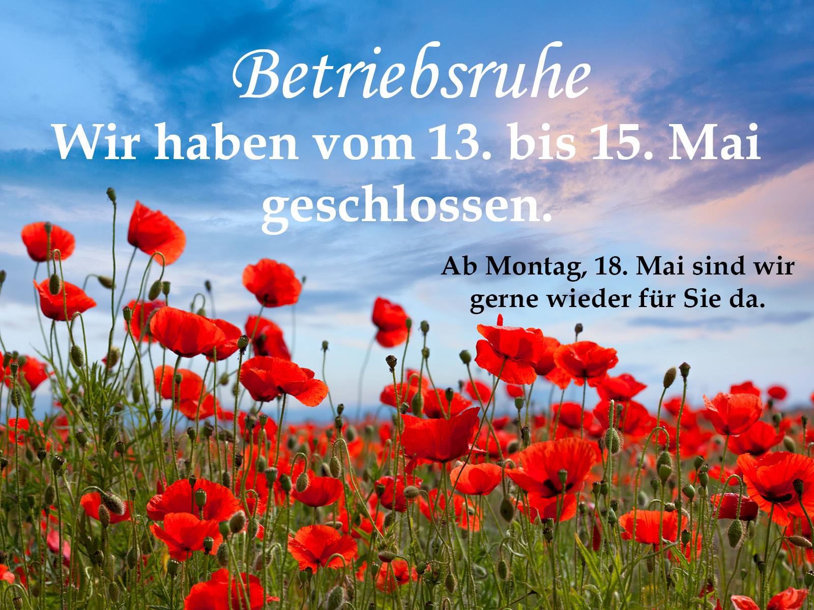 Betriebsruhe a vom 13. bis 15. Mai. Ein Feld mit roten Mohnblumen.